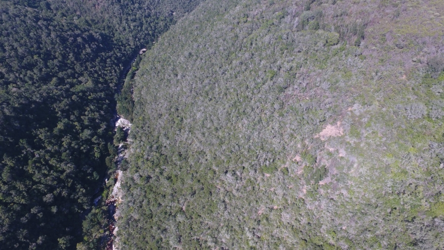  Bedroom Property for Sale in Knysna Rural Western Cape